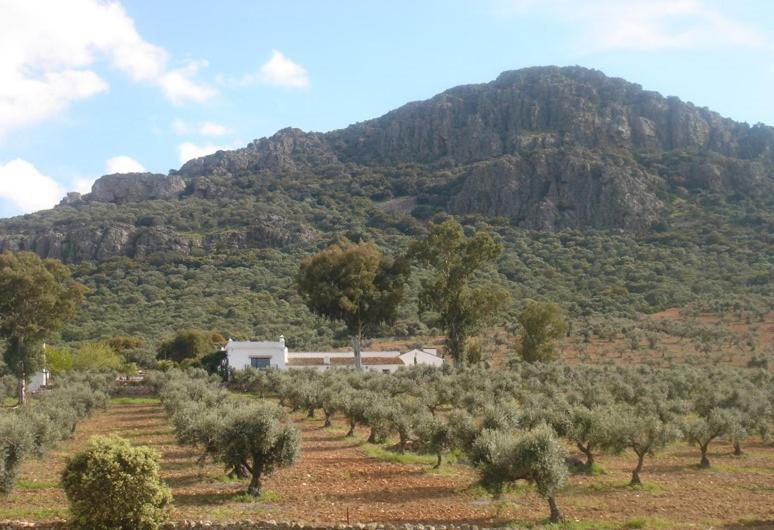 Casa Rural Sierra De Mampar Hornachos Dış mekan fotoğraf
